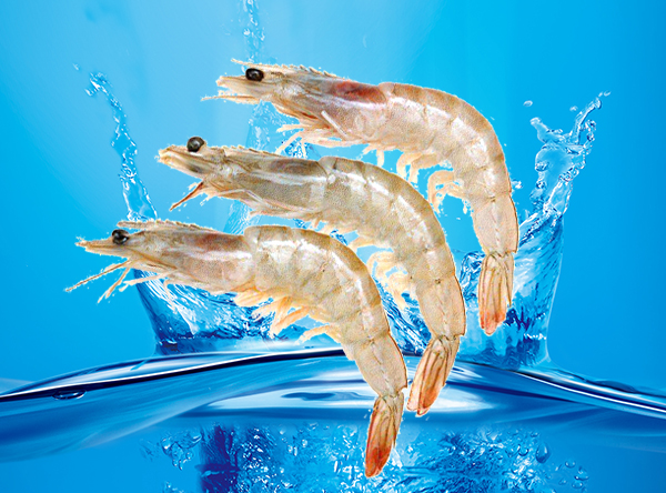 產(chǎn)品名稱